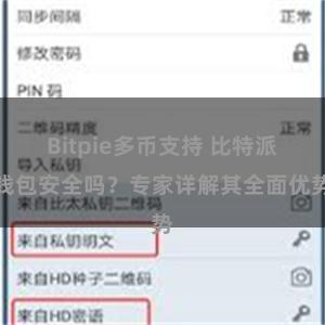 Bitpie多币支持 比特派钱包安全吗？专家详解其全面优势