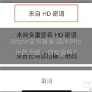 Bitpie在线客服 选择Bitpie的原因，你知道吗？