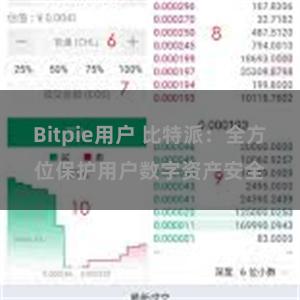 Bitpie用户 比特派：全方位保护用户数字资产安全