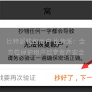 比特派钱包用户 比特派：全方位保护用户数字资产安全