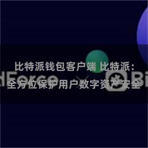 比特派钱包客户端 比特派：全方位保护用户数字资产安全