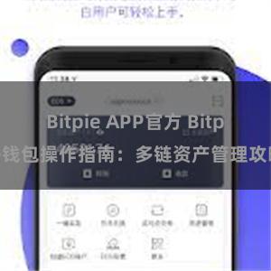 Bitpie APP官方 Bitpie钱包操作指南：多链资产管理攻略