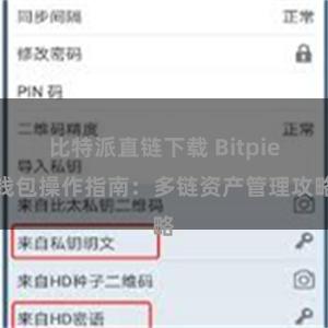 比特派直链下载 Bitpie钱包操作指南：多链资产管理攻略