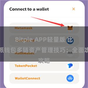 Bitpie APP轻量版 比特派钱包多链资产管理技巧：全面攻略