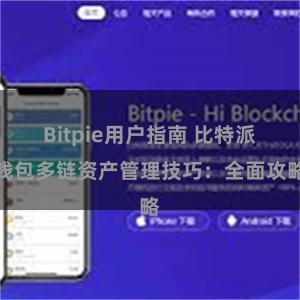 Bitpie用户指南 比特派钱包多链资产管理技巧：全面攻略