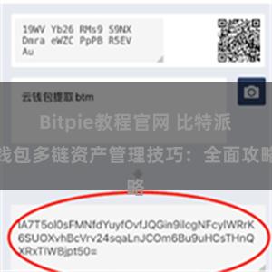 Bitpie教程官网 比特派钱包多链资产管理技巧：全面攻略