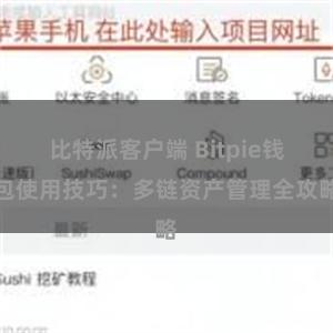 比特派客户端 Bitpie钱包使用技巧：多链资产管理全攻略