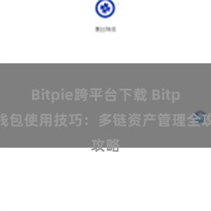 Bitpie跨平台下载 Bitpie钱包使用技巧：多链资产管理全攻略