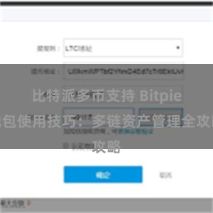 比特派多币支持 Bitpie钱包使用技巧：多链资产管理全攻略