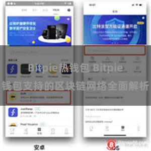 Bitpie热钱包 Bitpie钱包支持的区块链网络全面解析