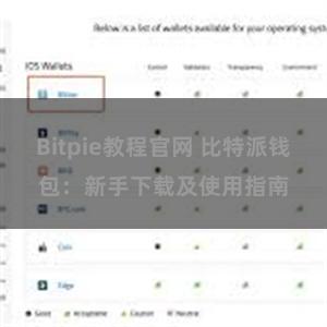 Bitpie教程官网 比特派钱包：新手下载及使用指南