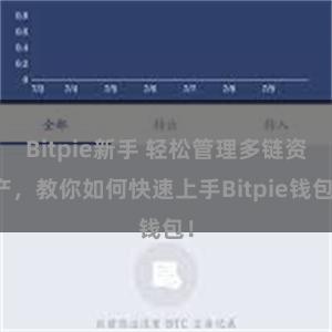 Bitpie新手 轻松管理多链资产，教你如何快速上手Bitpie钱包！