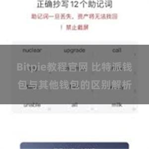 Bitpie教程官网 比特派钱包与其他钱包的区别解析