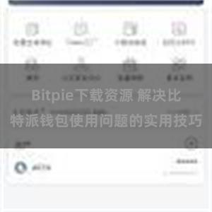 Bitpie下载资源 解决比特派钱包使用问题的实用技巧