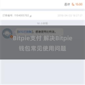 Bitpie支付 解决Bitpie钱包常见使用问题