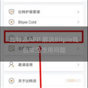 比特派APP 解决Bitpie钱包常见使用问题