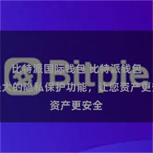 比特派国际钱包 比特派钱包：强大的隐私保护功能，让您资产更安全