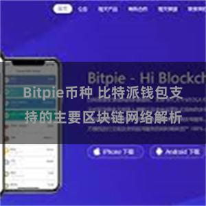 Bitpie币种 比特派钱包支持的主要区块链网络解析