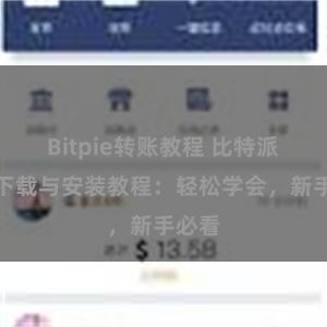 Bitpie转账教程 比特派钱包下载与安装教程：轻松学会，新手必看