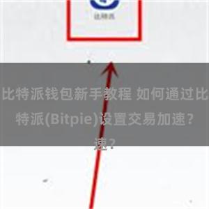 比特派钱包新手教程 如何通过比特派(Bitpie)设置交易加速？