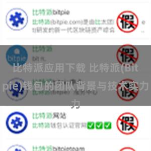 比特派应用下载 比特派(Bitpie)钱包的团队背景与技术实力