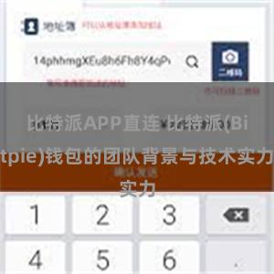 比特派APP直连 比特派(Bitpie)钱包的团队背景与技术实力