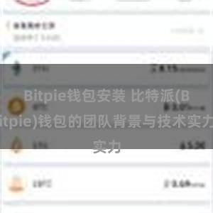 Bitpie钱包安装 比特派(Bitpie)钱包的团队背景与技术实力