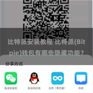 比特派安装教程 比特派(Bitpie)钱包有哪些隐藏功能？