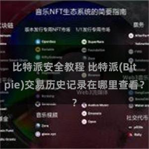 比特派安全教程 比特派(Bitpie)交易历史记录在哪里查看？