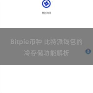 Bitpie币种 比特派钱包的冷存储功能解析