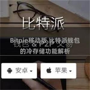 Bitpie移动版 比特派钱包的冷存储功能解析