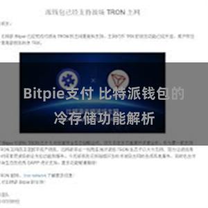 Bitpie支付 比特派钱包的冷存储功能解析