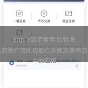 Bitpie新手指南 比特派钱包的资产快照功能在多链交易中的应用