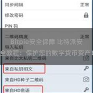 Bitpie安全保障 比特派安全教程：保护您的数字货币资产！