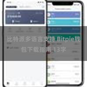 比特派多语言支持 Bitpie钱包下载指南 13字