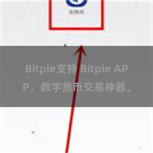 Bitpie支持 Bitpie APP，数字货币交易神器。