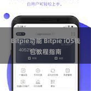 Bitpie功能 Bitpie iOS钱包教程指南